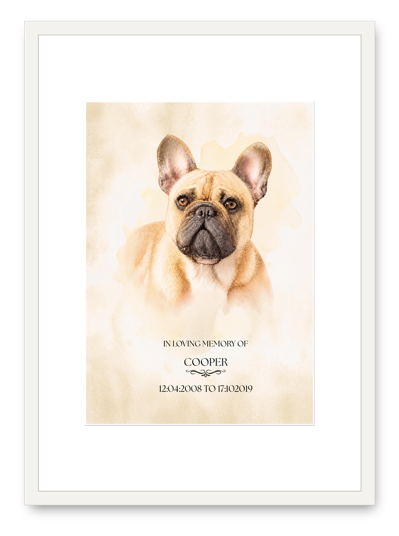 Memorial portrait of Cooper in a white frame